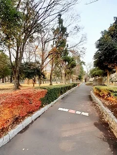 城北公園まで156m