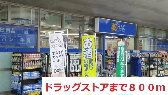 ドラッグストアまで800m