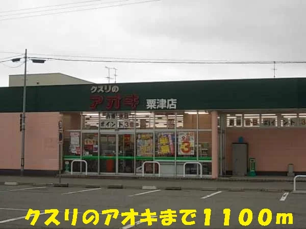 クスリのアオキまで1100m