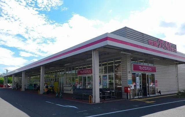 マックスバリュ御殿場新橋店まで1200m