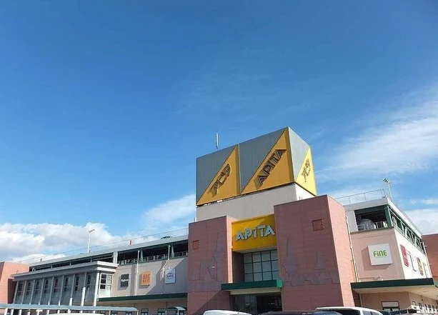 アピタ安城南店まで1200m