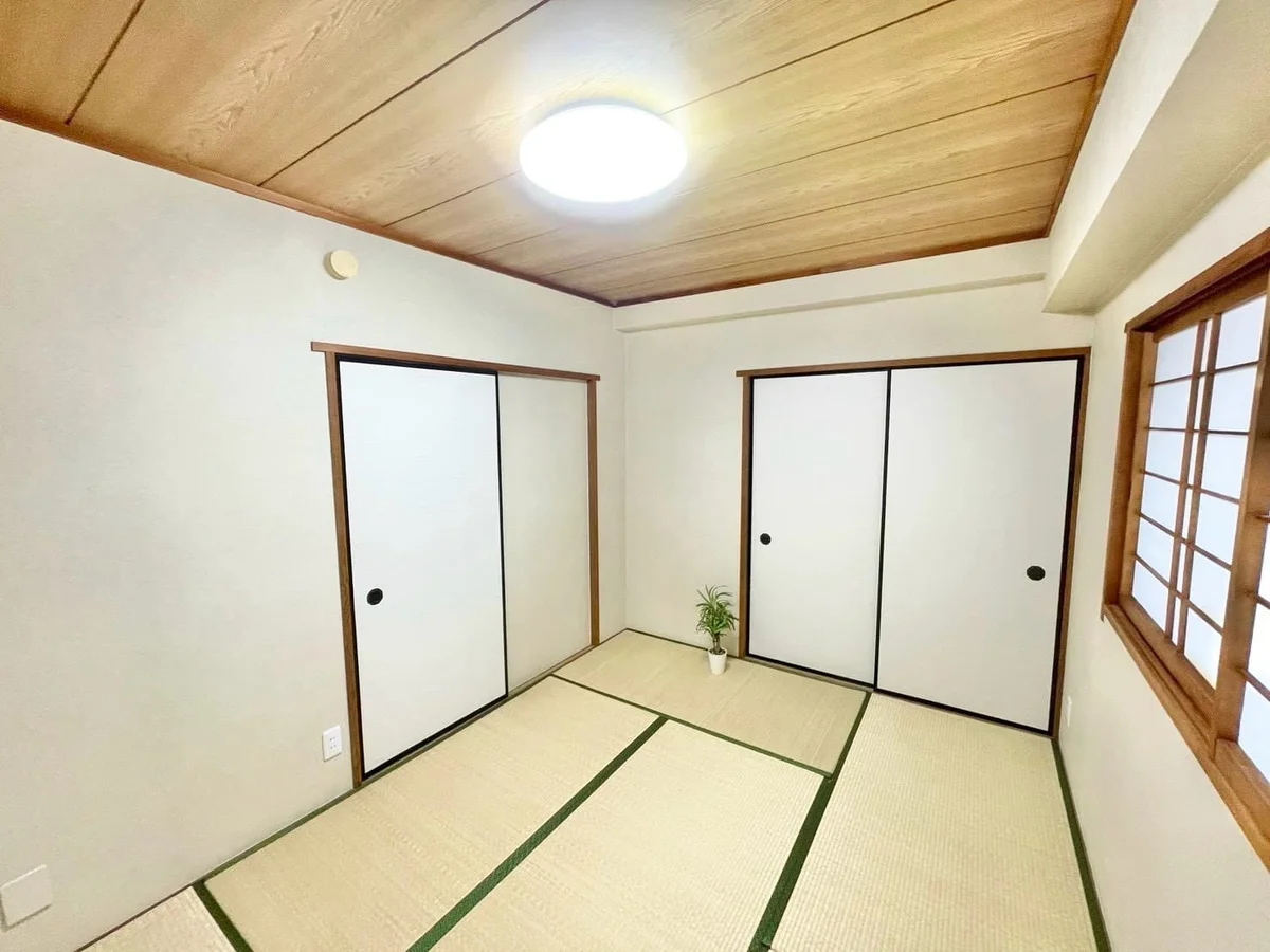 ※撮影用の観察植物・食器調理器具・雑貨類等はございません。※写真は現況優先