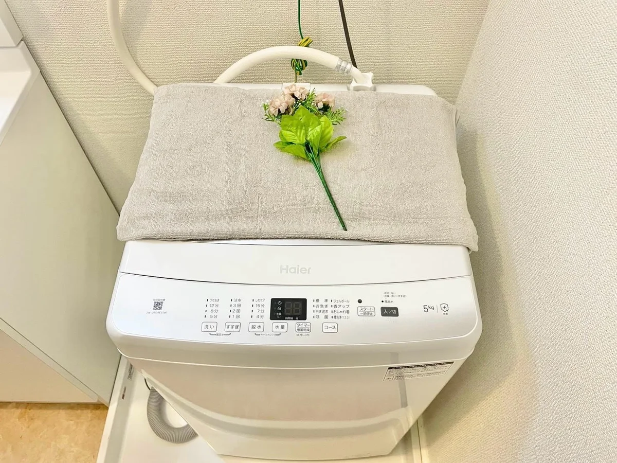 ※撮影用の観察植物・食器調理器具・雑貨類等はございません。※写真は現況優先