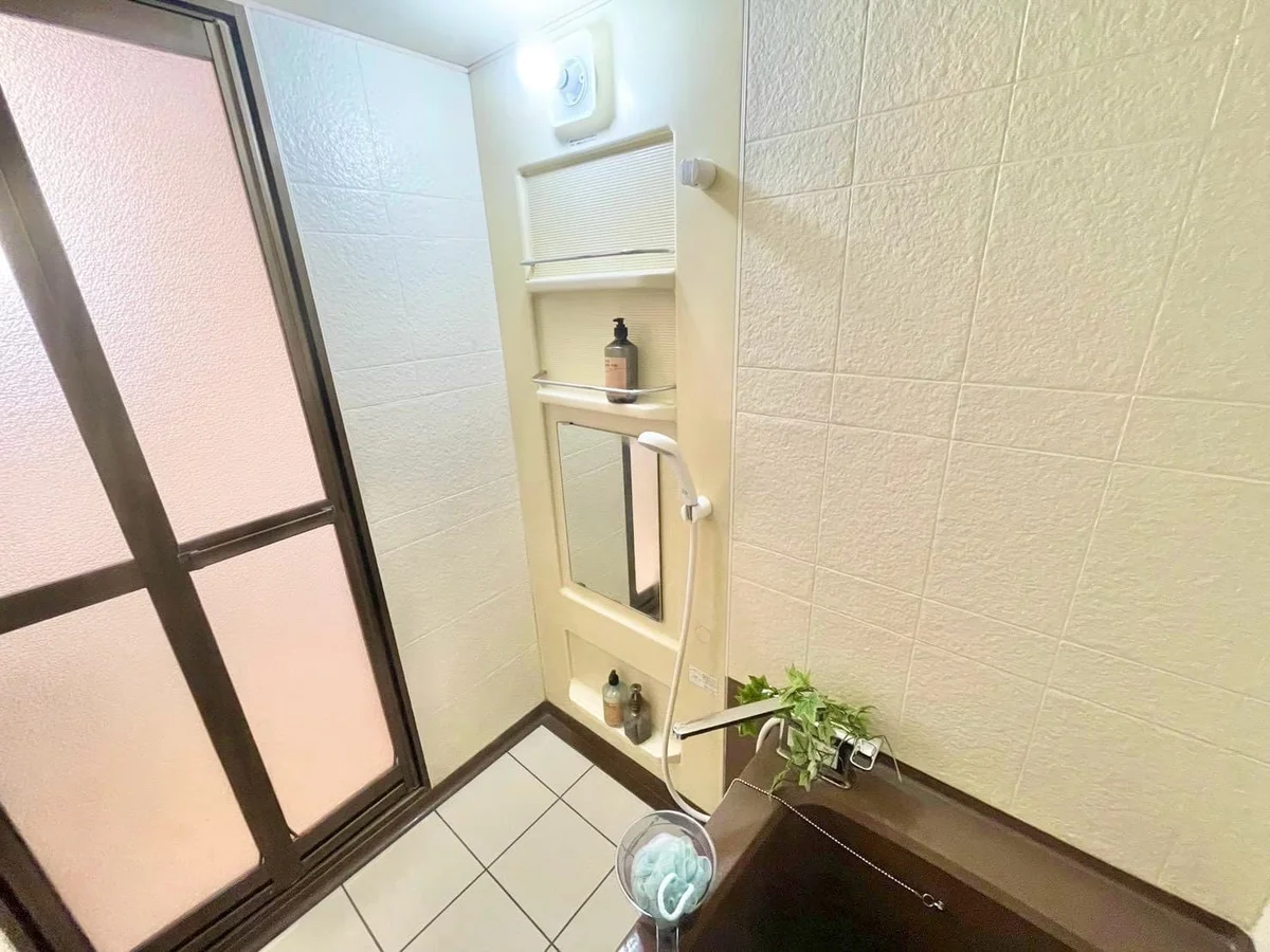 ※撮影用の観察植物・食器調理器具・雑貨類等はございません。※写真は現況優先