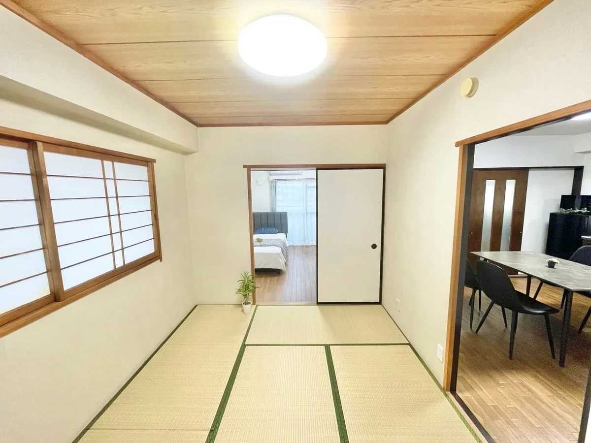 ※撮影用の観察植物・食器調理器具・雑貨類等はございません。※写真は現況優先