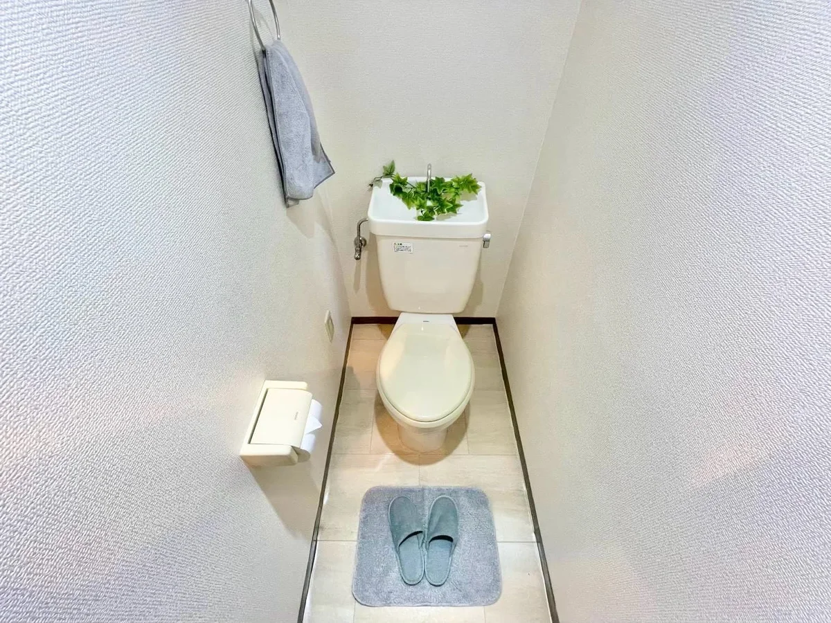 ※撮影用の観察植物・食器調理器具・雑貨類等はございません。※写真は現況優先