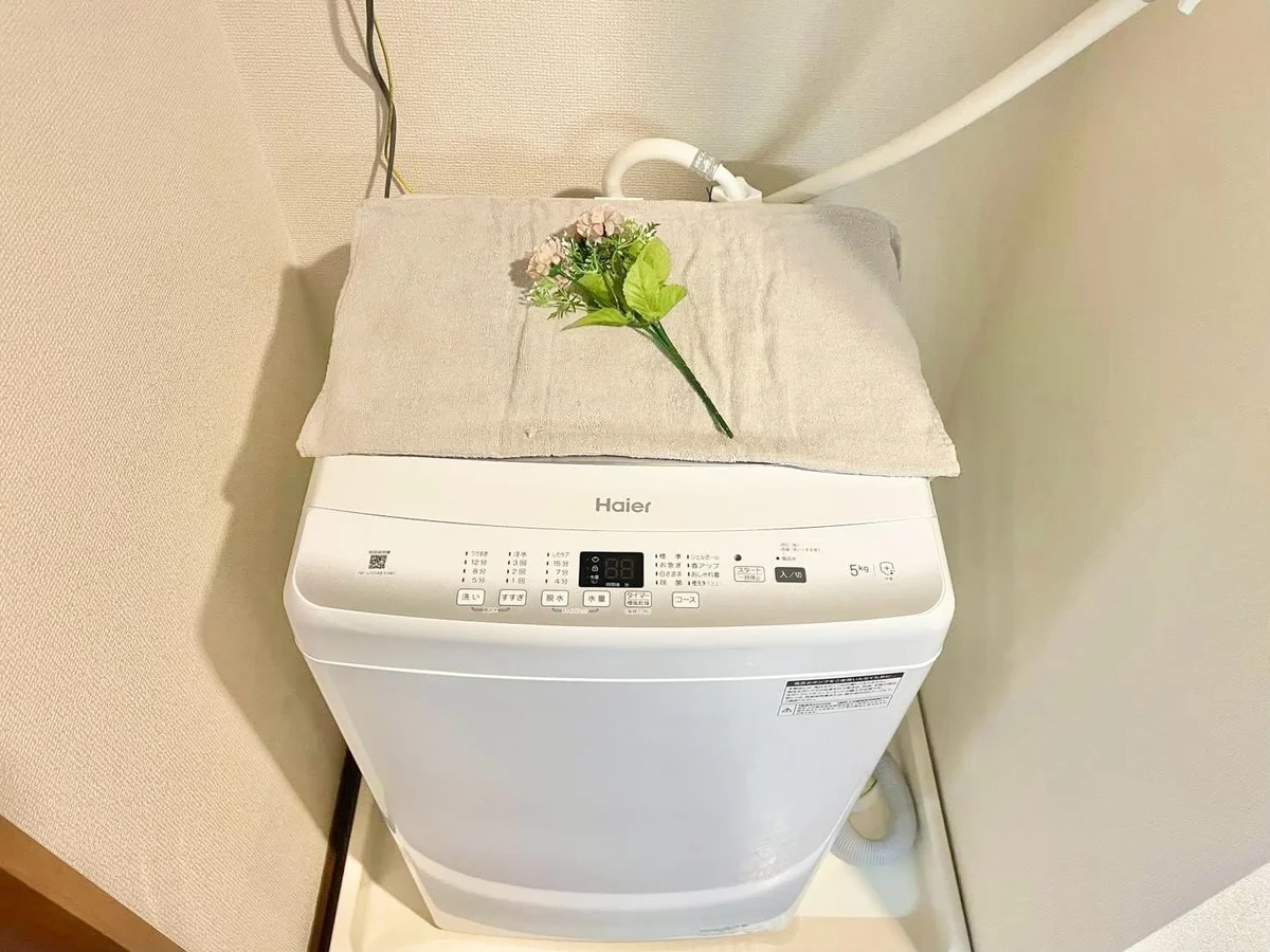 ※撮影用の観察植物・食器調理器具・雑貨類等はございません。※写真は現況優先