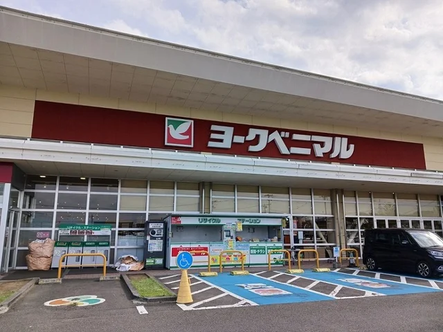 ヨークベニマル南中山店まで2300m