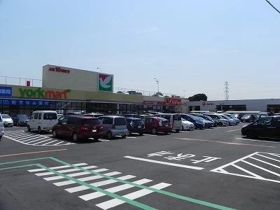 ヨークマート花野井店まで750m