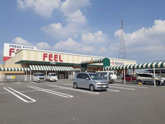 フィール 岡崎大和店まで1200m