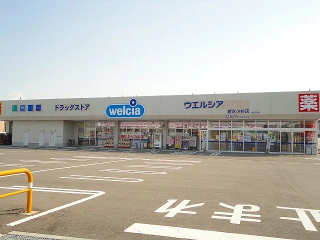ウエルシアまで210m