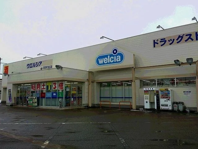 ウエルシア高岡井口本江店まで1200m