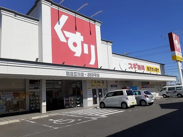 スギドラッグ羽島正木店まで500m