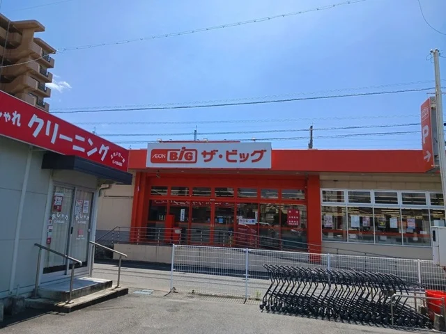 ザ・ビッグ徳山西店まで1100m