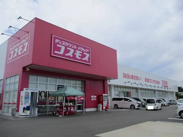 コスモス源藤店まで800m