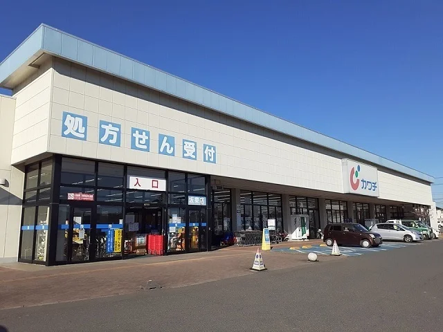 カワチ薬品坂東店まで540m