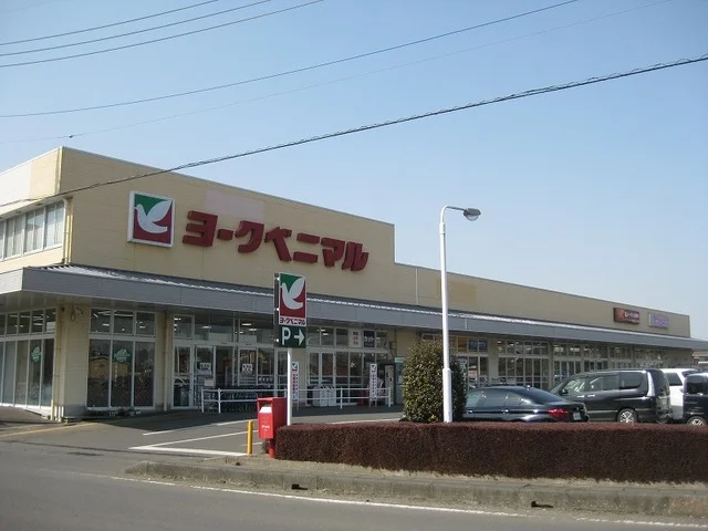 ヨークベニマル羽鳥東店まで550m
