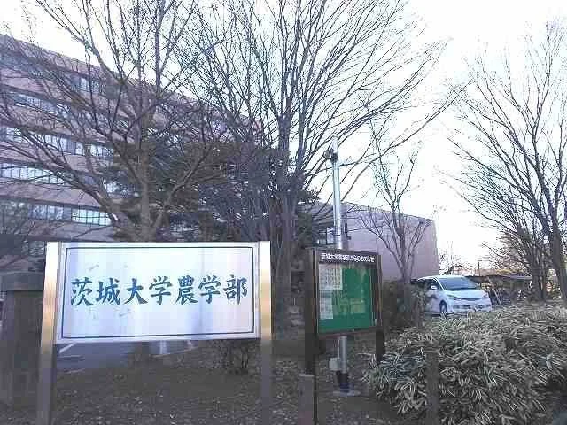 茨城大学農学部まで1300m