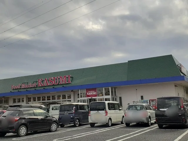 カスミフードスクエア杉戸店まで400m