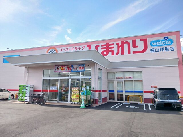 ひまわり福山坪生店まで750m