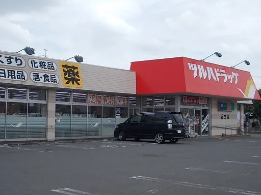 ツルハドラッグ近文店まで600m