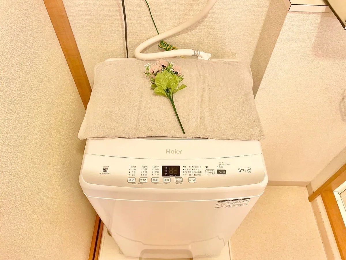 ※撮影用の観察植物・食器調理器具・雑貨類等はございません。※写真は現況優先