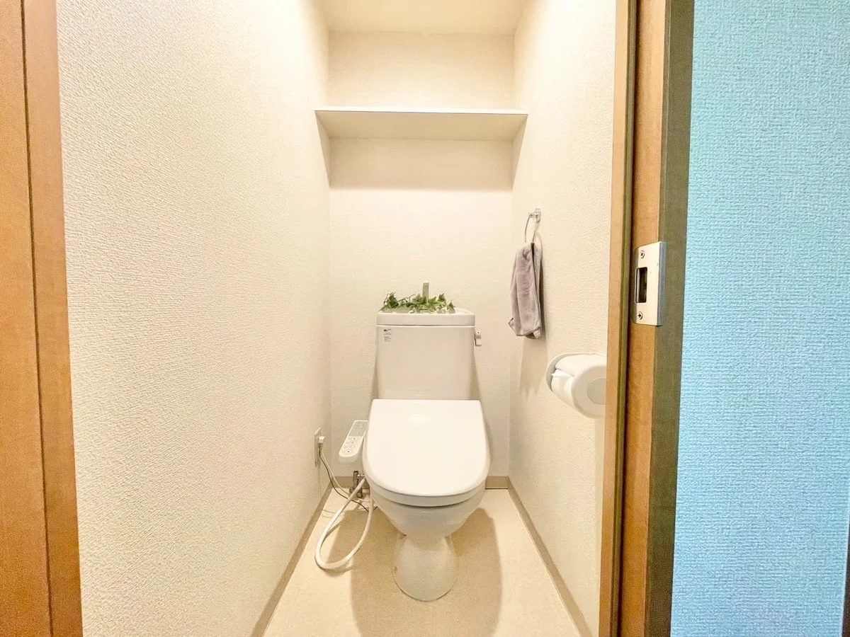 ※撮影用の観察植物・食器調理器具・雑貨類等はございません。※写真は現況優先