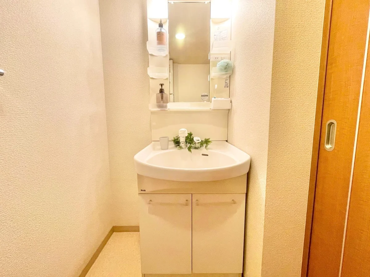 ※撮影用の観察植物・食器調理器具・雑貨類等はございません。※写真は現況優先