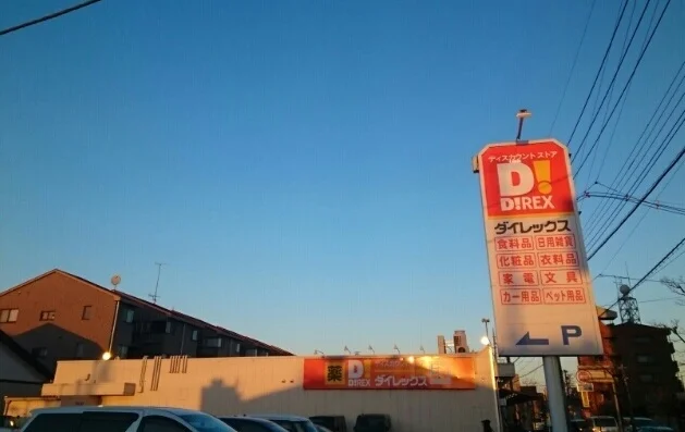 ダイレックス三芳店まで350m