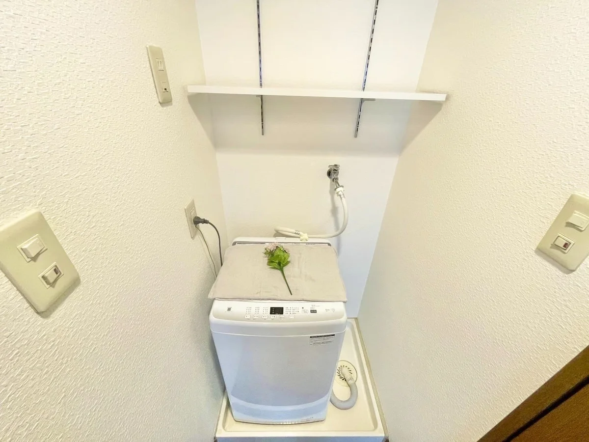 ※撮影用の観察植物・食器調理器具・雑貨類等はございません。※写真は現況優先