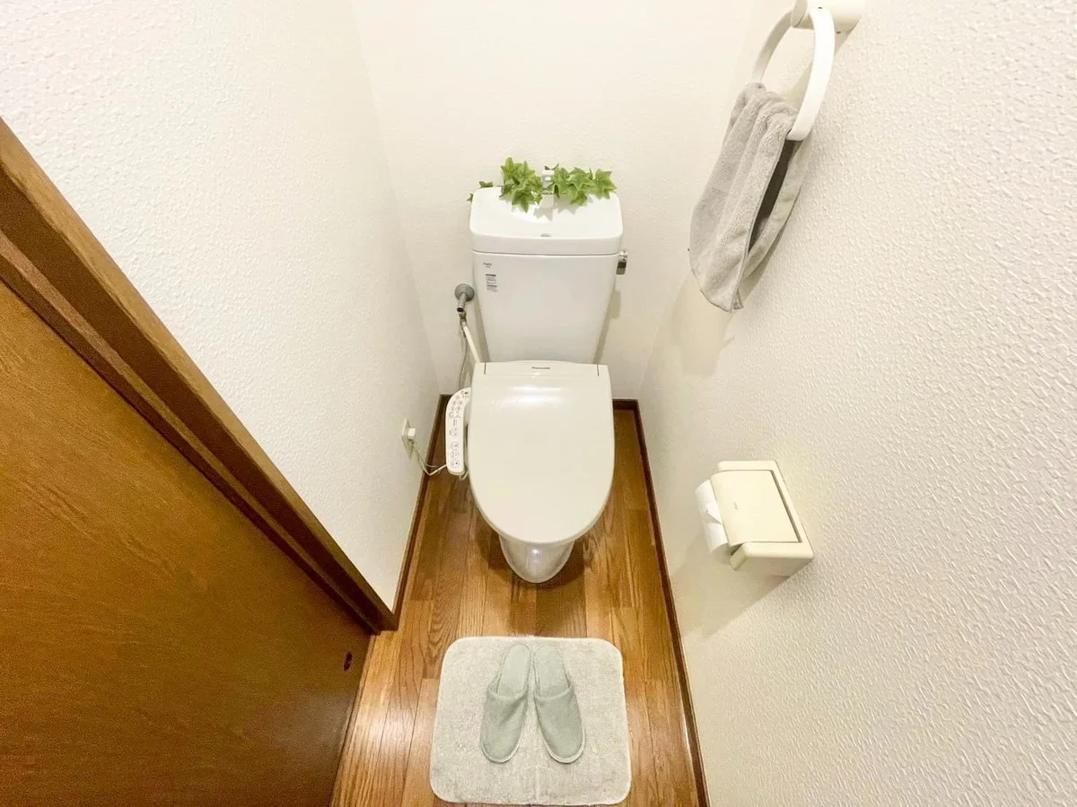 ※撮影用の観察植物・食器調理器具・雑貨類等はございません。※写真は現況優先