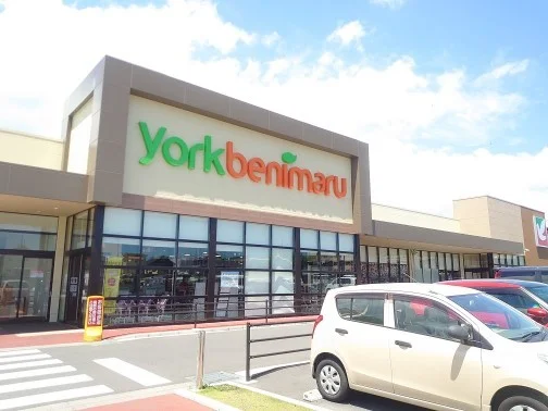 ヨークベニマル東海店まで1000m