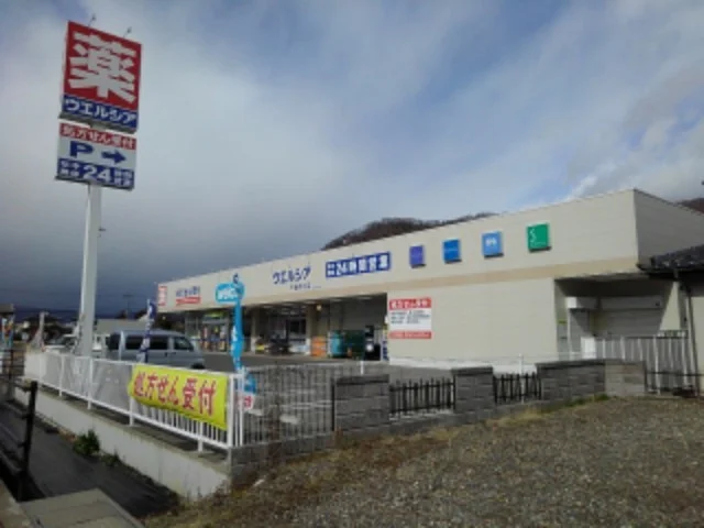 ウエルシア千曲内川店まで1100m