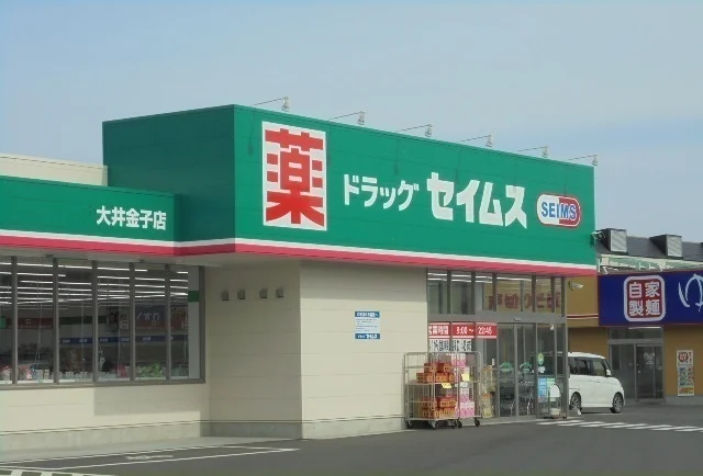セイムス大井金子店まで500m