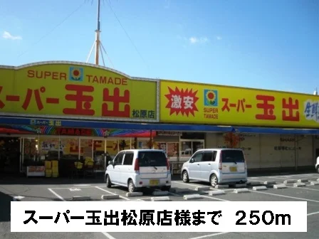 スーパー玉出松原店様まで250m