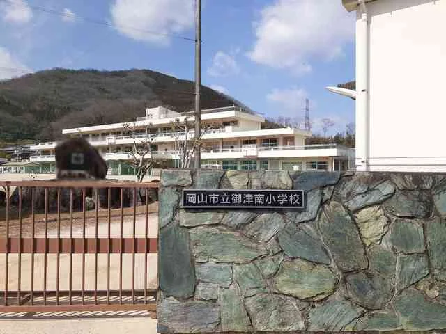 岡山市立御津南小学校まで1100m