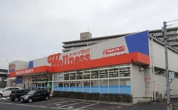 ウェルネス 橋南店まで1100m