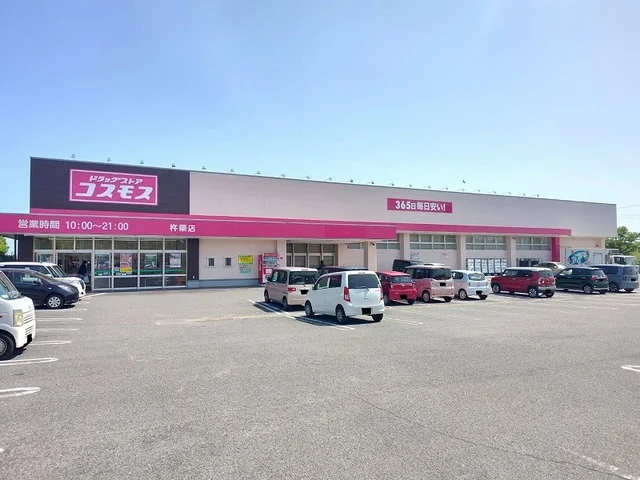 コスモスまで350m