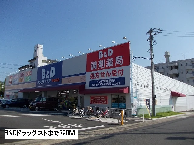 B&Dドラッグストアまで290m
