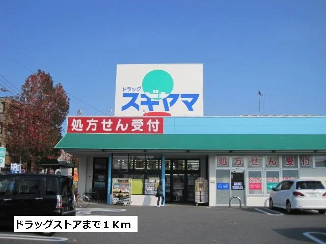 ドラッグスギヤマまで1000m