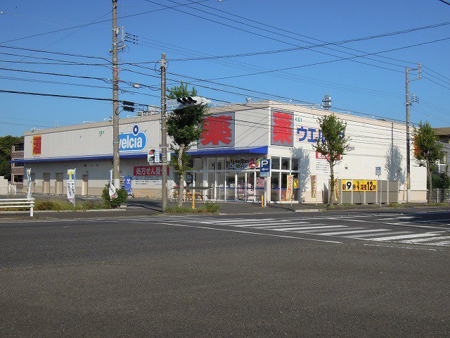 ウエルシア静岡池田店まで1000m