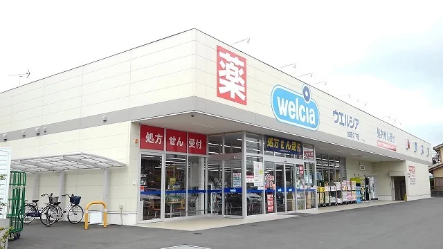 ウエルシア加須久下店まで1100m