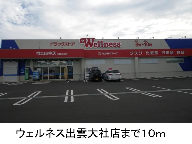 ウェルネス出雲大社店まで10m