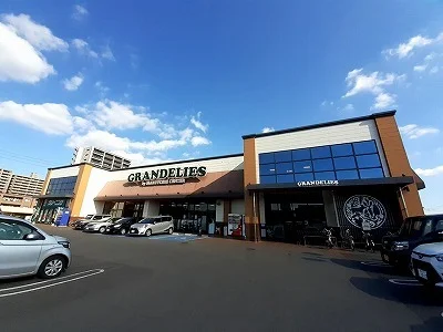 グランデリーズ太田店まで600m