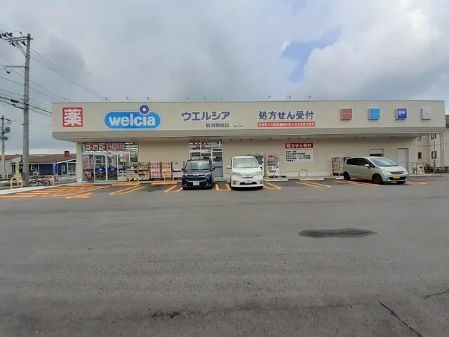 ウエルシア新潟横越店まで290m