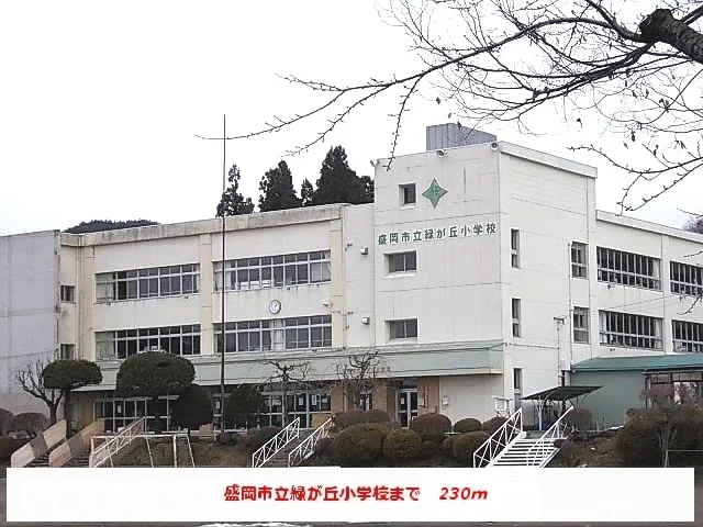 盛岡市立緑が丘小学校まで230m