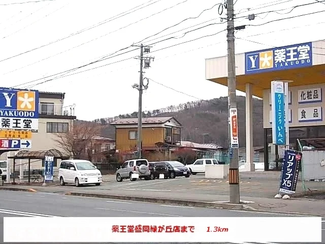 薬王堂盛岡緑が丘店まで1300m