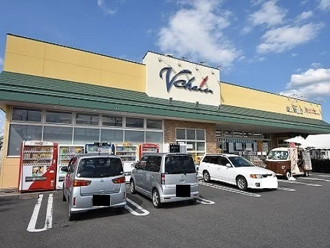 ブイチェーン八山田店まで900m