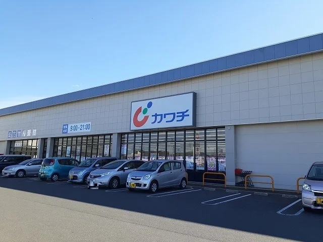 カワチ薬品 針ヶ谷店まで1000m