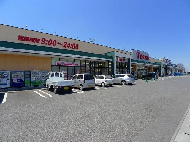 とりせん 城西の杜店まで700m